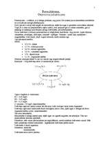 Konspekts 'Purva dzērvene', 1.