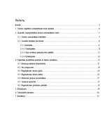 Referāts 'Dators jauniešu ikdienā', 2.