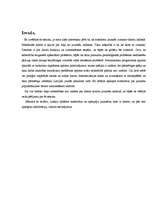 Referāts 'Dators jauniešu ikdienā', 3.