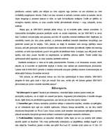 Referāts 'Dators jauniešu ikdienā', 12.