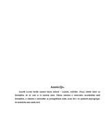 Referāts 'Dators jauniešu ikdienā', 20.