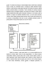 Paraugs 'Zinātniska informācijas avota par kultūras būtību un struktūru tulkojums', 5.