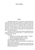 Referāts 'Latviešu teātra vēsture', 1.