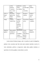 Diplomdarbs 'Skolēnu pētnieciskās darbības attīstība ģeogrāfijas mācību procesā pamatskolā', 72.