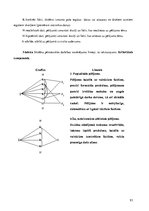 Diplomdarbs 'Skolēnu pētnieciskās darbības attīstība ģeogrāfijas mācību procesā pamatskolā', 93.