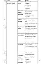 Diplomdarbs 'Skolēnu pētnieciskās darbības attīstība ģeogrāfijas mācību procesā pamatskolā', 96.