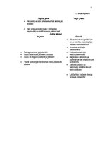 Diplomdarbs 'Labdarības organizācijas "Ziedot.lv" komunikācijas stratēģija', 11.