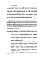 Diplomdarbs 'Labdarības organizācijas "Ziedot.lv" komunikācijas stratēģija', 20.