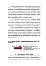 Diplomdarbs 'Labdarības organizācijas "Ziedot.lv" komunikācijas stratēģija', 33.