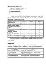 Referāts 'Mārketinga pētījumi un plāns', 3.