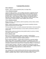 Konspekts 'Uzņēmējdarbības plānošana', 1.