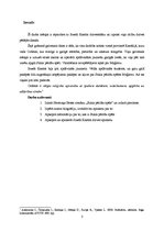 Referāts 'Hermaņa Heses romāna "Stikla pērlīšu spēle" analīze', 3.