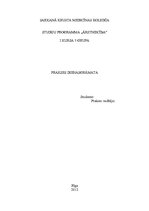 Prakses atskaite 'Prakses dienasgrāmata. Ārsta palīga prakse', 1.