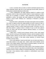 Referāts 'Sabiedriskās attiecības un ekonomiskās konkurences etniskie aspekti mūsdienu Lat', 20.