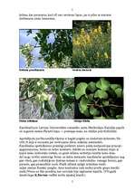 Konspekts 'Rīgas pilsētas kanāla ekosistēma', 5.