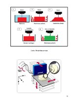 Konspekts 'Mūsu nākotne - 3D printeri', 10.