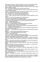 Konspekts 'Termini ģeogrāfijā', 3.