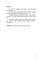 Konspekts 'Internets kā sistēma', 2.