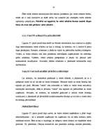 Referāts 'Eiropas Kopienas konkurences tiesības', 19.