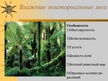 Prezentācija 'Природные зоны Африки', 5.
