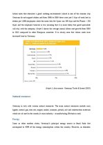 Referāts 'Country Analysis - Germany', 8.