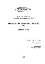 Referāts 'Biznesa plāns', 1.