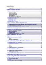 Referāts 'Biznesa plāns', 2.