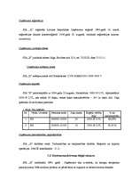 Referāts 'Biznesa plāns', 5.