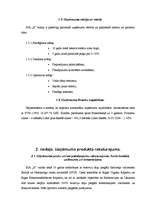 Referāts 'Biznesa plāns', 6.