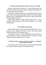 Referāts 'Biznesa plāns', 8.