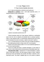 Referāts 'Biznesa plāns', 9.