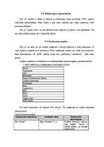 Referāts 'Biznesa plāns', 11.