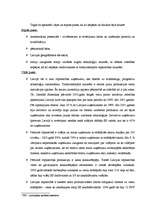 Referāts 'Biznesa plāns', 13.