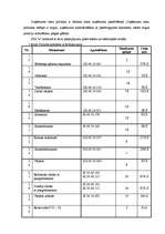 Referāts 'Biznesa plāns', 16.