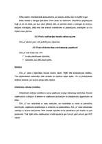 Referāts 'Biznesa plāns', 17.