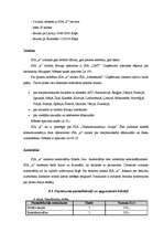 Referāts 'Biznesa plāns', 19.