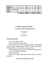 Referāts 'Biznesa plāns', 21.