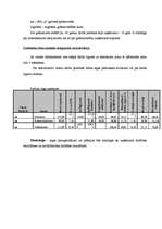 Referāts 'Biznesa plāns', 22.