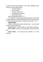 Referāts 'Biznesa plāns', 24.