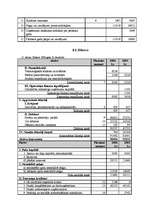 Referāts 'Biznesa plāns', 26.