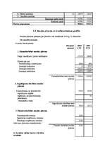 Referāts 'Biznesa plāns', 27.