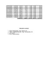 Referāts 'Biznesa plāns', 29.