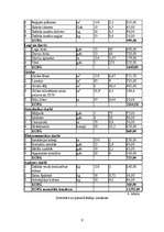 Biznesa plāns 'Sadzīves pakalpojumu un servisa centrs', 8.