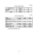 Biznesa plāns 'Sadzīves pakalpojumu un servisa centrs', 12.