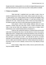 Referāts 'Jāņa Ezeriņa noveles "Kādas blusas stāsts" analīze', 2.