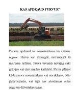 Prakses atskaite 'Integrētā mācību stunda dabaszinībās', 10.