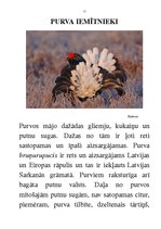 Prakses atskaite 'Integrētā mācību stunda dabaszinībās', 11.