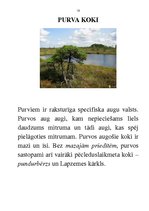 Prakses atskaite 'Integrētā mācību stunda dabaszinībās', 13.