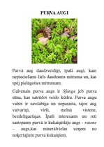 Prakses atskaite 'Integrētā mācību stunda dabaszinībās', 14.