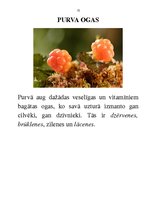 Prakses atskaite 'Integrētā mācību stunda dabaszinībās', 15.